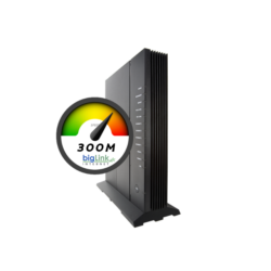 Fibre Internet 300