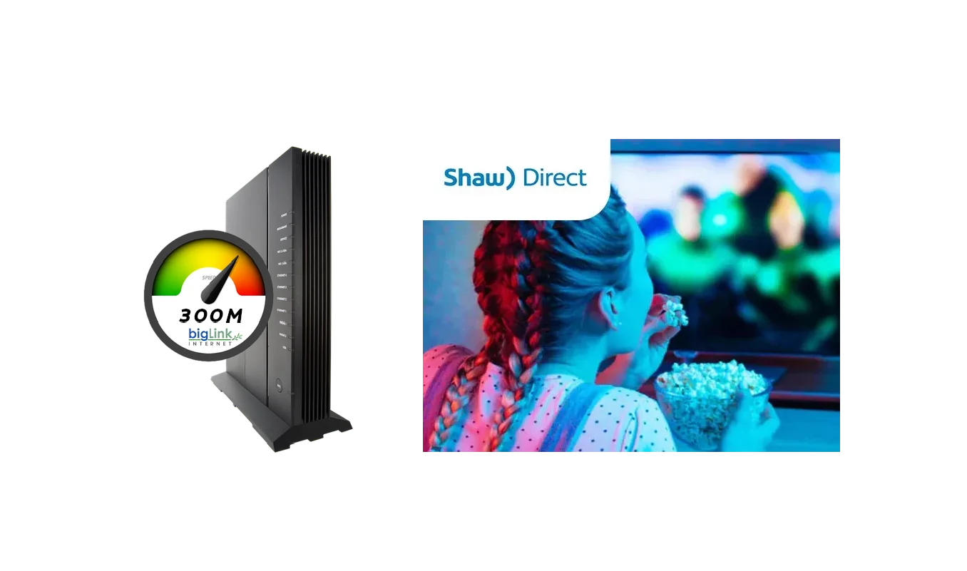 Fibre Internet 300 + TV